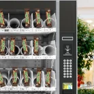 6f2eea78-07de-42e6-8244-ec1744894184.145fd1779e8ddea9722bf646a0ad858c