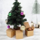 71JTgEabB1L._AC_SX679_